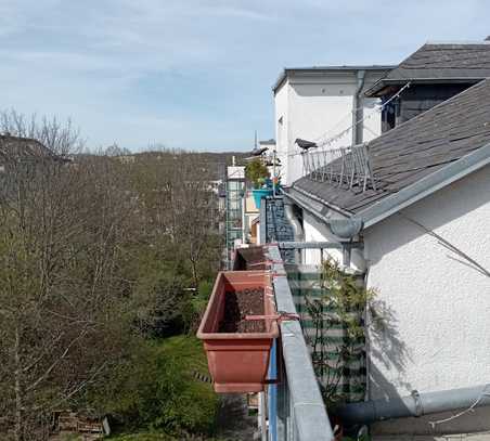 Charmante 1-Zimmer-Wohnung in Chemnitz Kaßberg mit Südwestbalkon