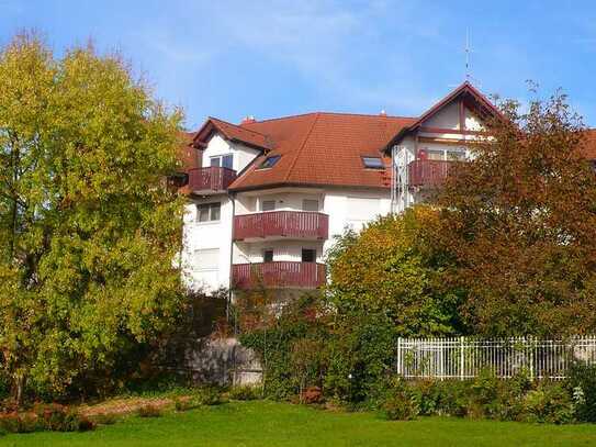 Schöne und gepflegte 1-Raum-EG-Wohnung mit gehobener Innenausstattung mit EBK in Karlstein am Main