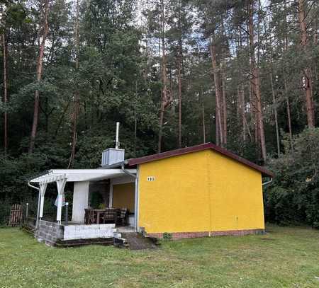 Gemütliches Ferienhaus direkt in der Natur!