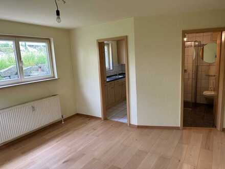 Freundliche 2-Zimmer-Wohnung mit EBK in Aspach