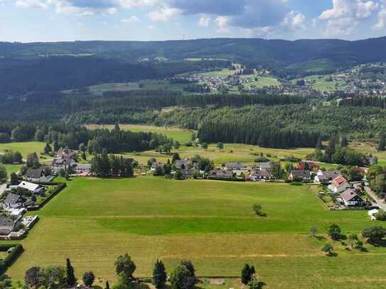 Panoramalage Hochschwarzwald - 18 Hektar Bauland, besser gehts nicht - Sofortverkauf !