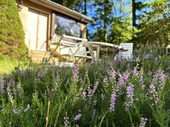 Beeindruckendes Naturgrundstück mit Waldanteil in Jesteburg