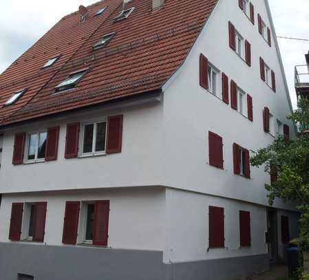 Stilvolle 2-Zimmer-Wohnung in Weinstadt-Strümpfelbach