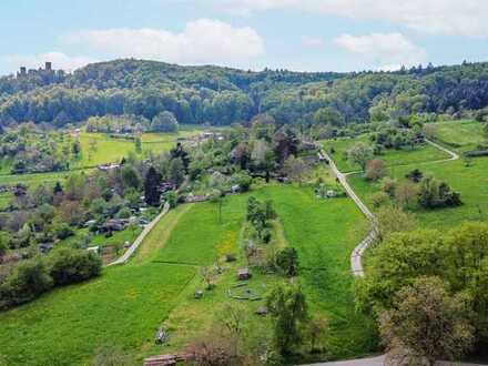 SOMMER-AUKTION 2023: Grundstück in Lörrach OT Haagen