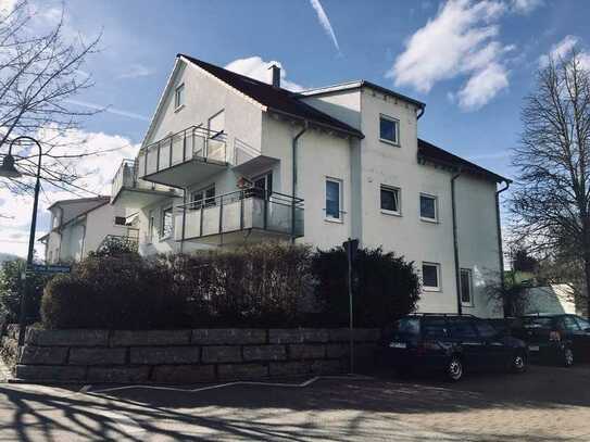 2-Zimmer-Wohnung mit großer Terrasse in Untereisesheim