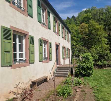 Schöne 3-Zimmer-Wohnung mit EBK in Homburg