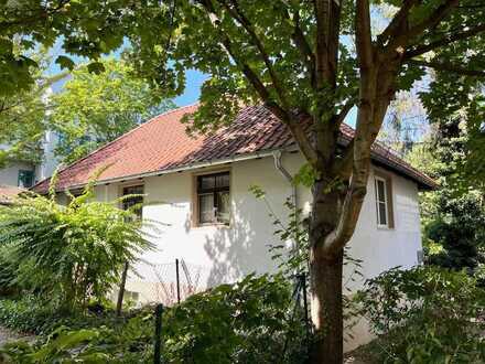 Kleines Hinterhaus in Striesen, innen zu sanieren!
Gewerbe- oder Privatnutzung, Sie entscheiden!