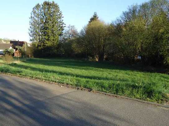 Baugrundstück in 74869 Schwarzach, Reichartshäuserstr. 16