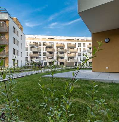 Neues Jahr - neue Wohnung - am Rhein