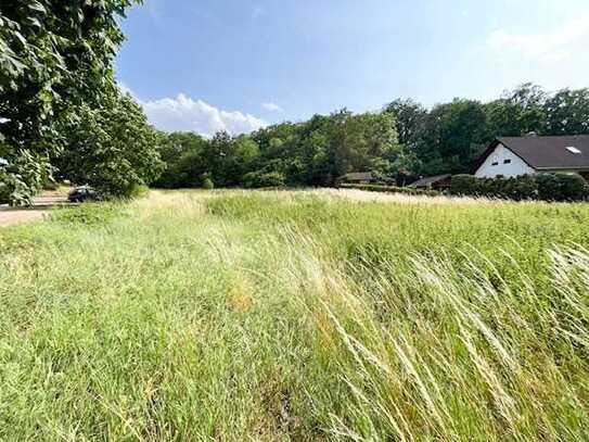 Baugrundstück in Wettin Löbejün