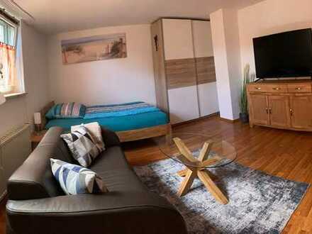 Frisch saniertes und möbliertes 1-Raum-Apartment mit Einbauküche in Schwäbisch Hall-Hessental