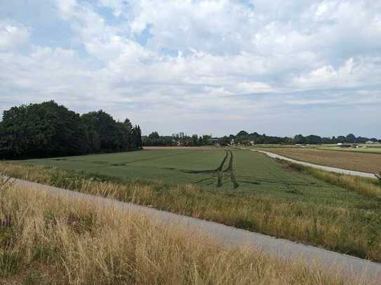 Landwirtschaftsfläche/Ausgleichsfläche in Straubing!