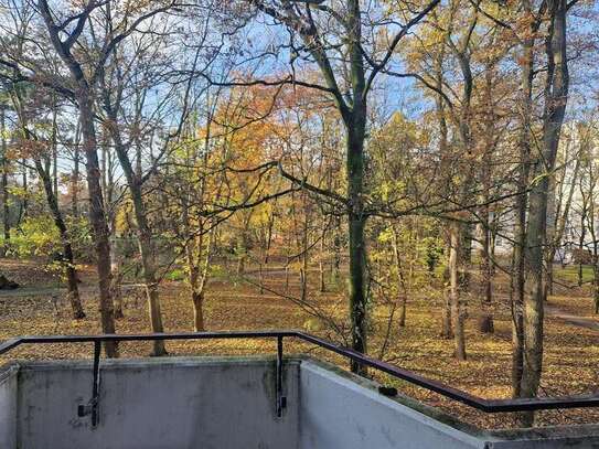 Geräumige 3-Zimmer-Wohnung mit Balkon und Blick in den Wollepark