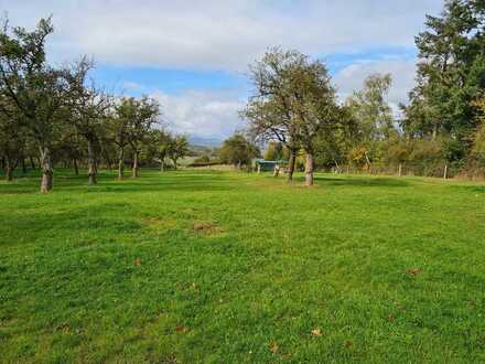 Landwirtschaftliches Grundstück mit über 15.000 m² in Wetter