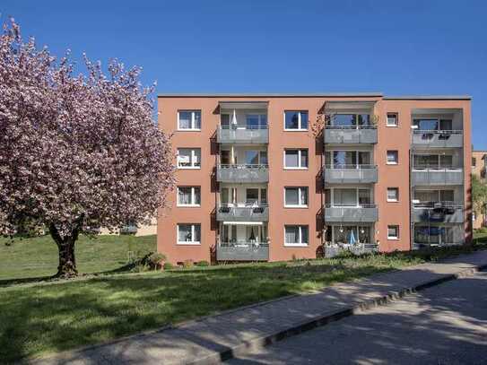 Modernisierte Wohnung mit Blick ins Grüne