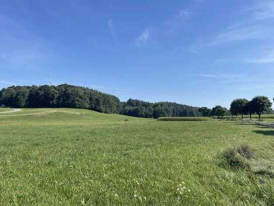 Großzügige landwirtschaftliche Fläche mit guten Zufahrtsmöglichkeiten Nähe Weilenbach!