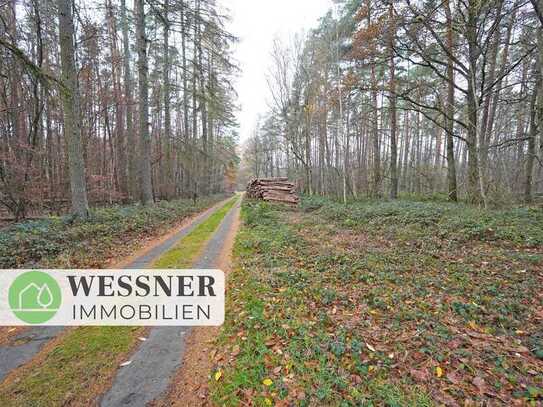 Gut erreichbarer Wald in der Nähe von Nauen