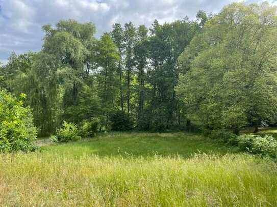 Grundstück / Bauvorhaben in bester Lage direkt am Waldrand