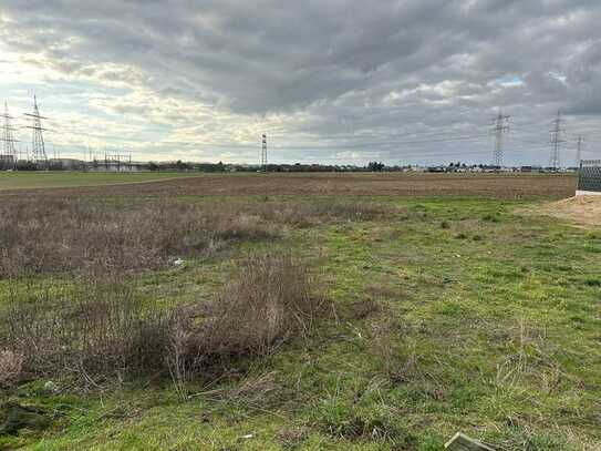 Zwei DHH Grundstücke in ruhiger Lage von Neulußheim mit Blick über die Felder