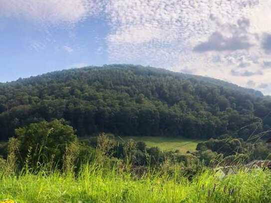 Sonniges unverbaubares Grundstück/e mit Fernblick