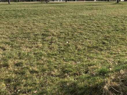 Landwirtschaftsfläche im "Oberer Berg" nahe Wohngebiet