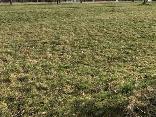 Landwirtschaftsfläche im "Oberer Berg" nahe Wohngebiet