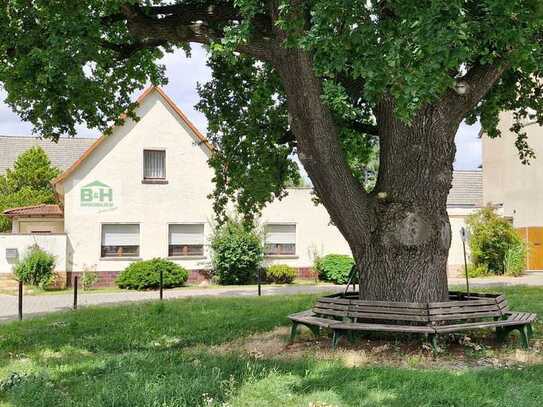 Preiswert - Bauernhaus-Bungalow WNFL 136 qm plus DG Bodenreserve ca. 2200 qm Grst, 1/2 Scheune