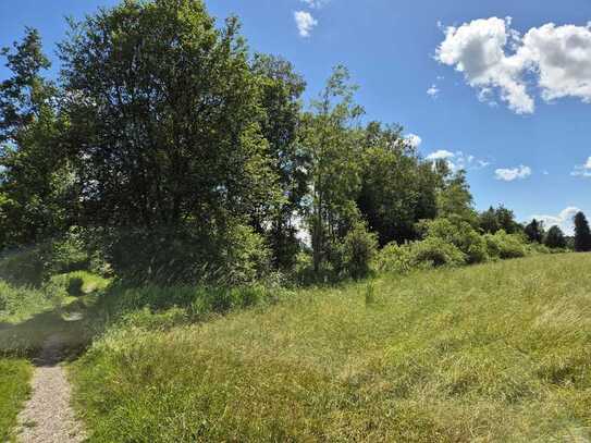 Wiesenstreifen mit gesicherter Zufahrt zu verkaufen