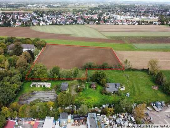 Spektakuläre landwirtschaftliche Fläche. Entwicklungspotenzial