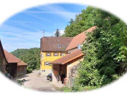 Leben auf dem Lande- Individuell-gemütliche Hofstelle in grüner Idylle an der Jagst