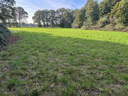 Ackerland/landwirtschaftl.Flächen mit Waldfläche