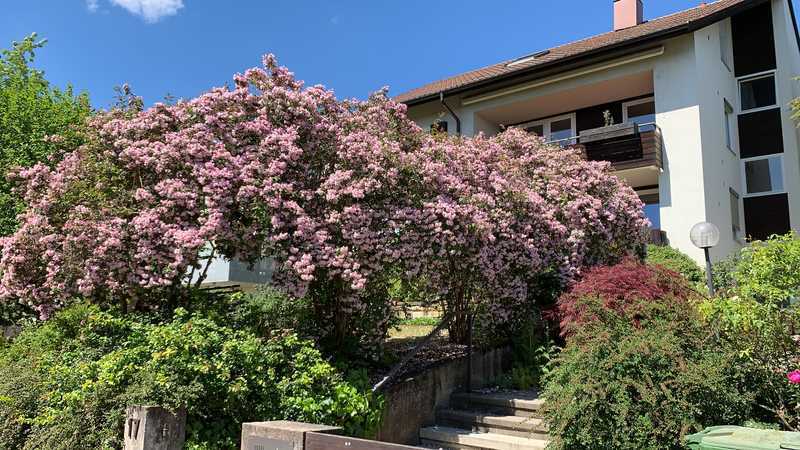 3-Familien-Generationenhaus in Stuttgart-Vaihingen mit 2 freien Wohnungen