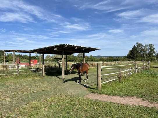 Pferdehof zur Miete – Boxen und Wiesen in bester Lage