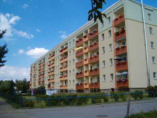Moderne 4-Raumwohnung mit Balkon