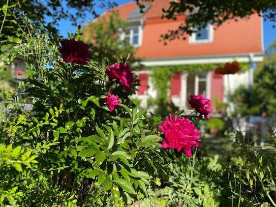 Attraktive 1,5-Zimmer-Wohnung in Wangen i.A. zu vermieten. Komplett eingerichtet