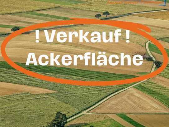Ackerfläche nähe Mindelzell/Balzhausen/Bayersried zu verkaufen