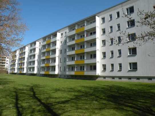 Frisch sanierte 2 Raum-Wohnung mit Balkon