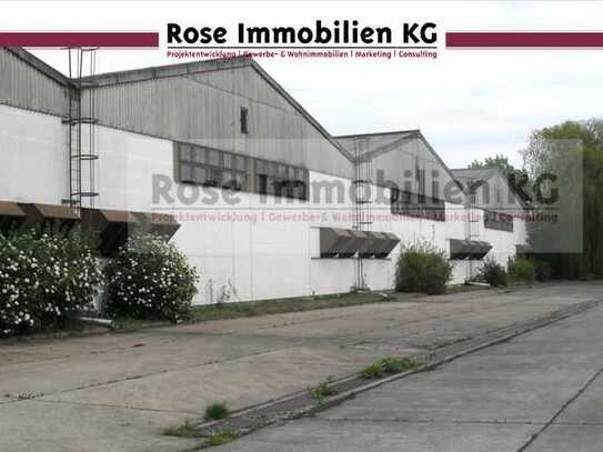 ROSE IMMOBILIEN KG: Lagerhalle zu verkaufen!