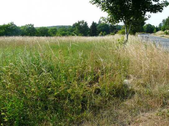 Zwangsversteigerung Langhagen (LK Güstrow), 13.360 qm entlang der Gartenstraße