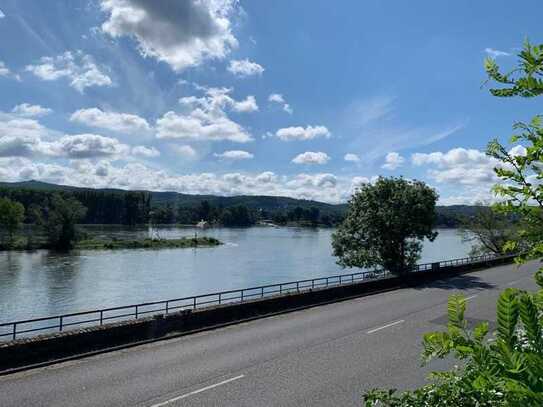 ***projektiertes Baugrundstück in erster Rheinlage***