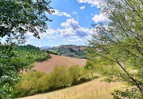 Grundstück in Italien | Ascoli Piceno | Adriaküste | ca. 14.000 m² Fläche | Hotelbau möglich