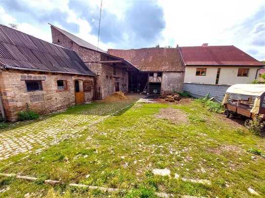 Ein-Zweifamilienhaus mit schönem Grundstück, Tierhaltung möglich