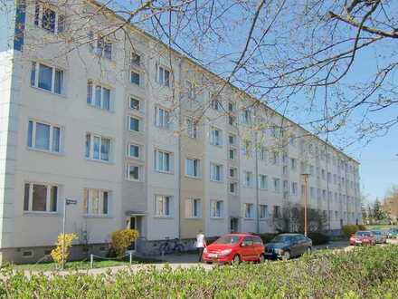 Sofort einziehen! 3-Raum-Wohnung am Igelpfuhl.