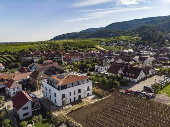 Mitten in der Pfalz