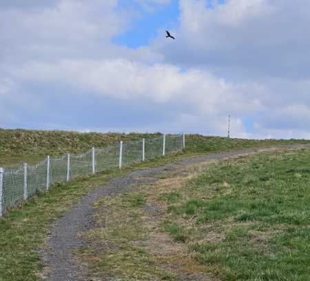 Achtung! Noch kein Bauland. Natur pur! Für Freizeit- oder Ausgleichsfläche geeignet