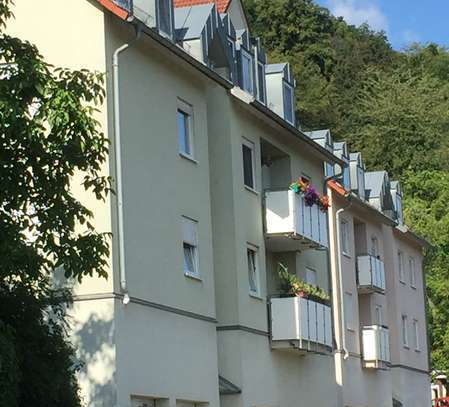 2-Raum-Wohnungen mit/ohne Balkon und herrlichem Blick auf die Elbe