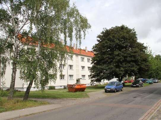 3 Raumwohnung in Halle Seeben mit Parkett, Badewanne und Balkon