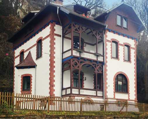 Kleine, schöne Single-Wohnung im 1. Obergeschoss in sanierter Jugendstil-Villa in Bad Ems