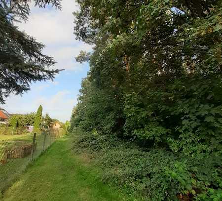 Wald- und Forstfläche in Burg OT Parchau zu verkaufen