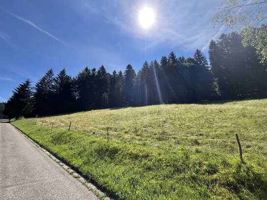 WERDEN SIE SELBSTVERSORGER!!! Waldgrundstück in Oberstaufen